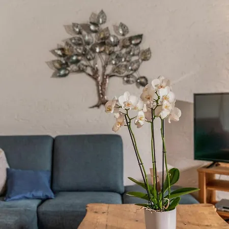 Landhaus Blaubeerhugel Holiday home