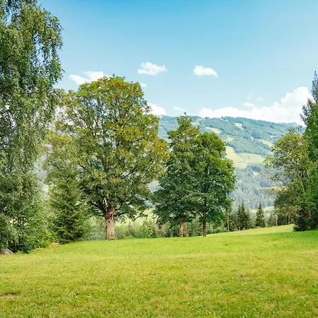 Blaubeerhügel *